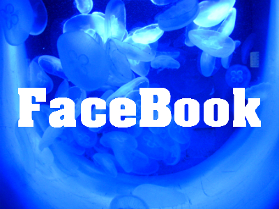 Coole Sprüche für FaceBook – 97 Coole Sprüche