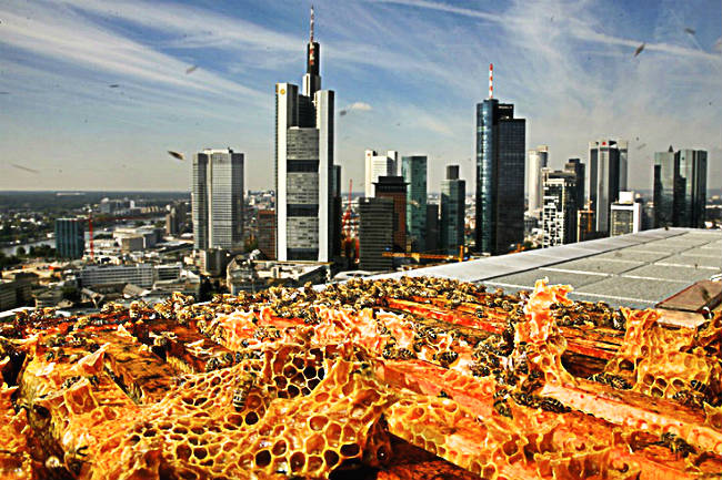 Außergewöhnliche Hotels Deutschland - Das Jumeirah in Frankfurt